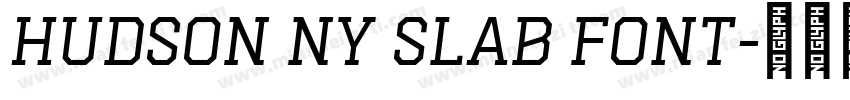 Hudson NY Slab font字体转换